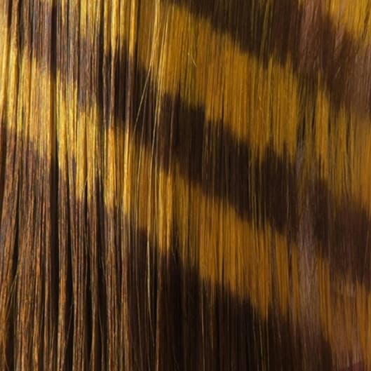 Highlight and haircut package at Classic Beauty By Kendall in Lubbock, TX